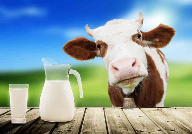 Le vie del latte