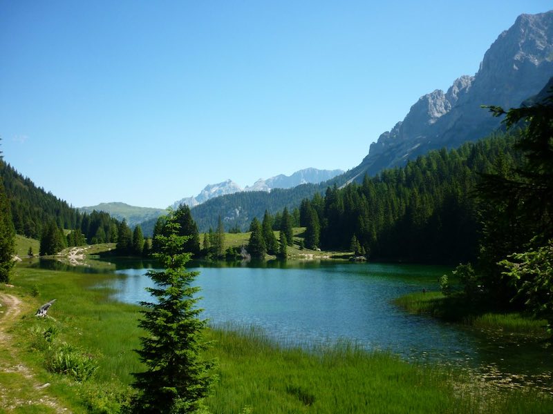 Nel Parco, in punta di piedi - Dolomiti patrimonio UNESCO