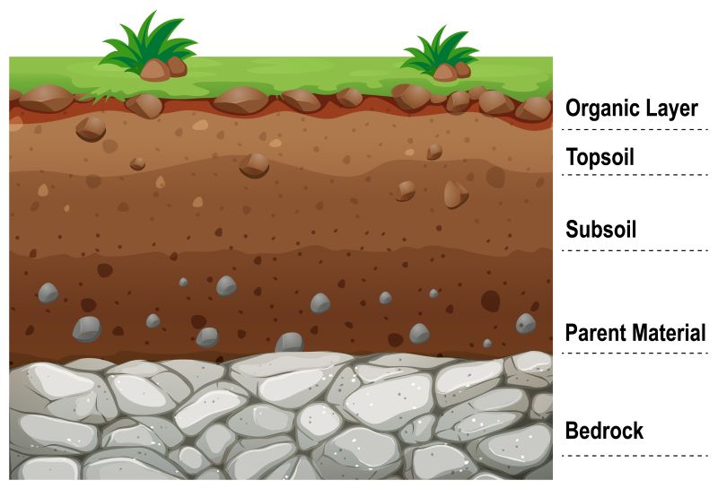 L'Ecosistema suolo