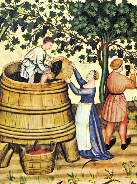 Storia del Vino Antico Sapere dell'Uomo
