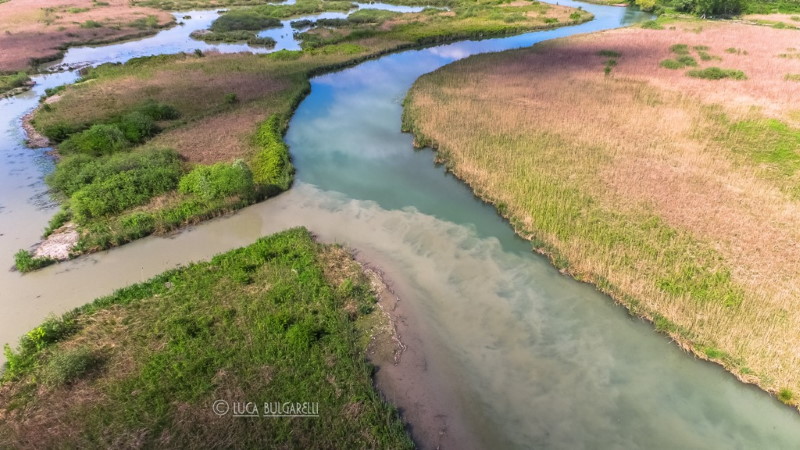 Alcuni affluenti esterni all'area protetta provocano l'aumento di sedimenti nelle Valli del Mincio