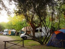 Pagine Ospitali Camping Internazionale Castelfusano