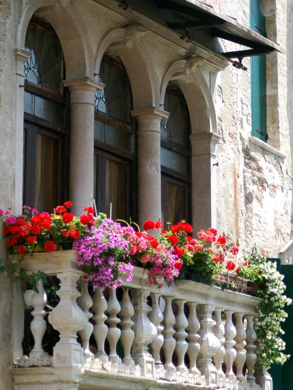 Treviso - Particolare di edificio storico
