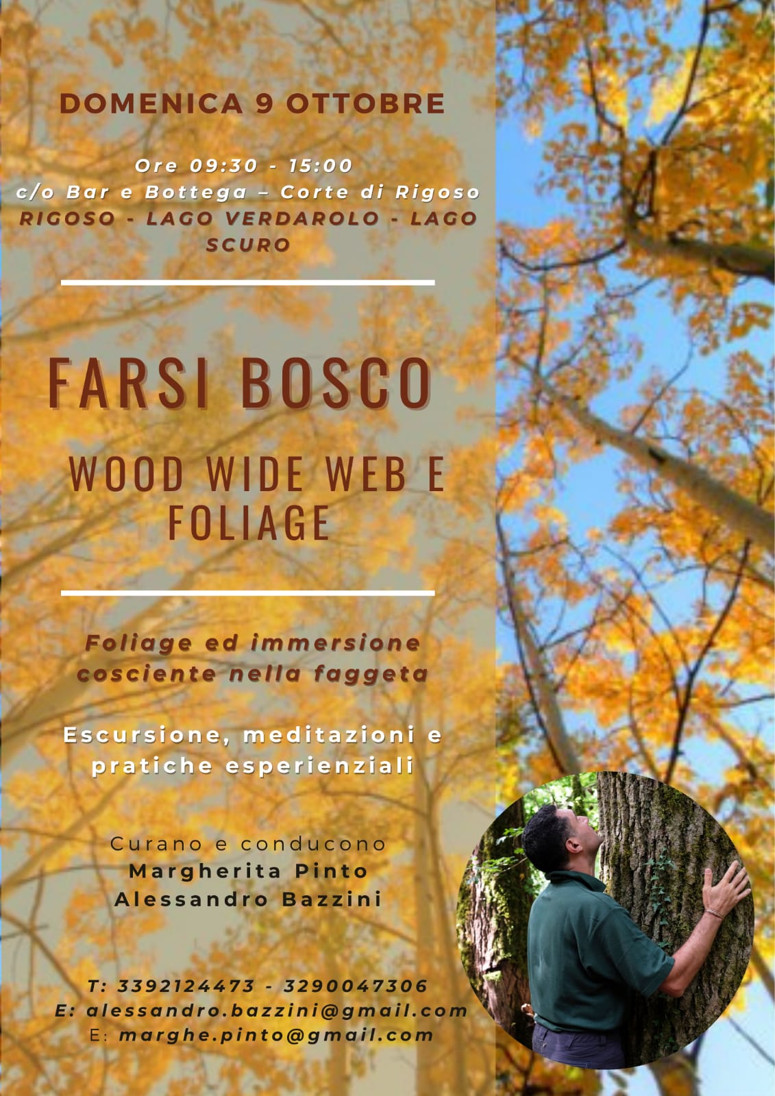 FARSI BOSCO - Wood Wide Web e Foliage