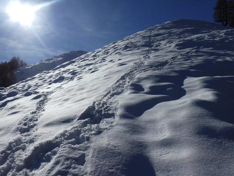 Ciaspolate nella Valle di Cogne con Guide Trek Alps