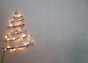 Decorazioni naturali per l'albero di Natale