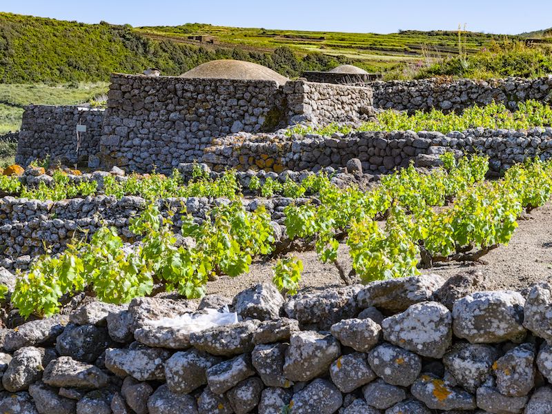 Dammusi e vite ad alberello, Patrimonio Unesco di Pantelleria