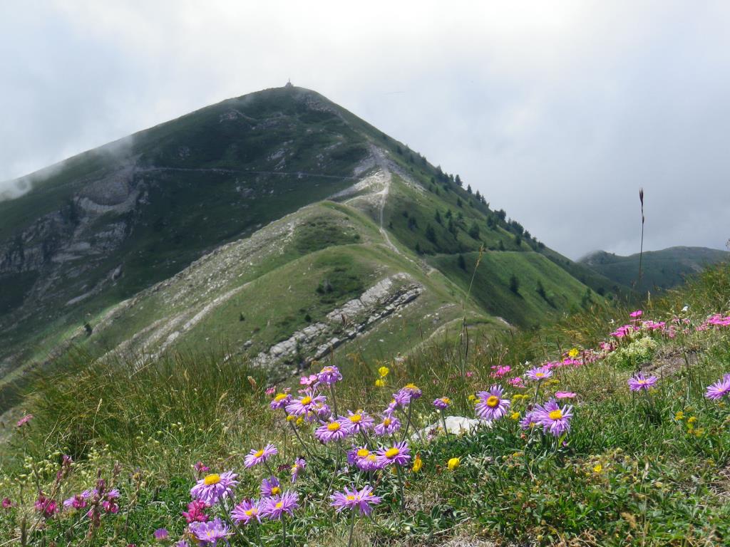 Parco Naturale Regionale delle Alpi Liguri: Iniziative ed ...