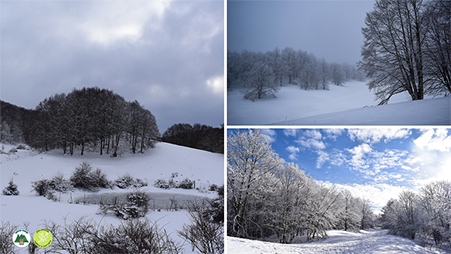La ciaspolata dei tre confini è una rilassante escursione sulla neve tra gli ampie faggete e pianori carsici del Parco Monti Simbruini.