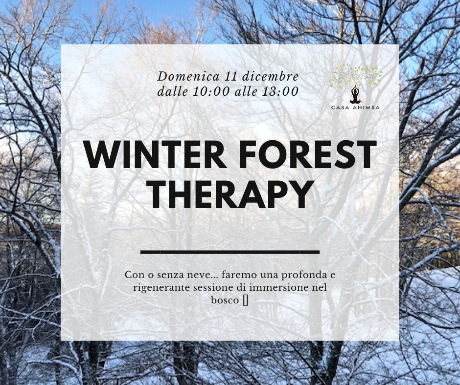 Winter Forest Therapy