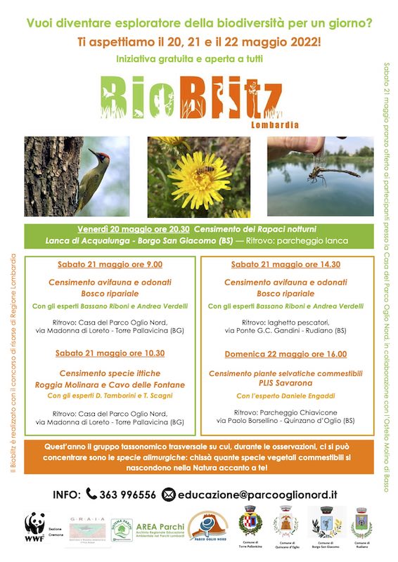 BioBlitz Lombardia con esperti naturalisti
