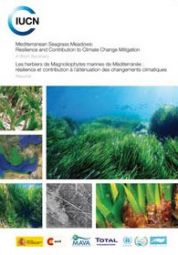 Le piante acquatiche del Mediterraneo: resilienza e interventi per la riduzione dei cambiamenti climatici