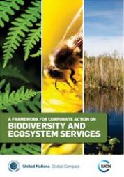 Un quadro per l'attività aziendale sui servizi per la biodiversità ed ecosistemici