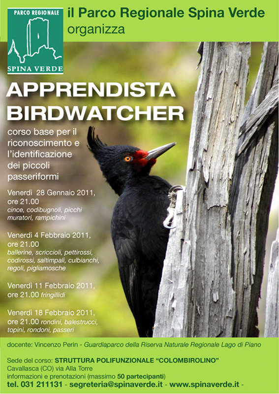 Corso gratuito di Apprendista birdwatcher