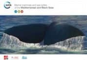 Mammiferi marini e tartarughe marine del Mediterraneo e del Mar Nero