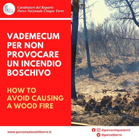 How to avoid causing a forest fire