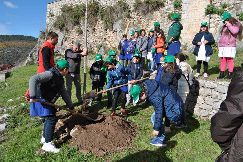 La Giornata nazionale degli alberi celebrata al Parco con gli alunni delle scuole di Marsico Nuovo