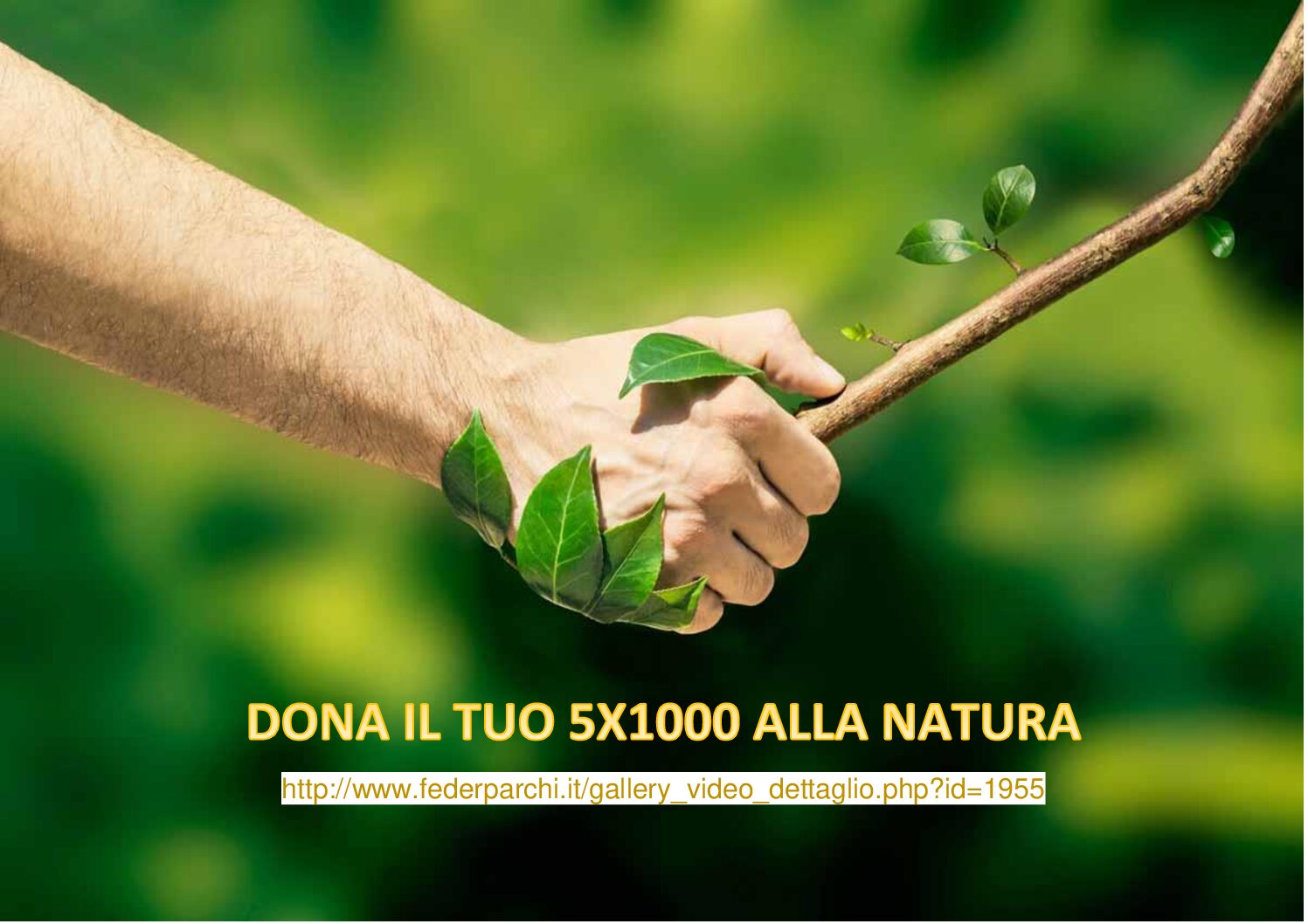Campagna di Federparchi: dona il tuo 5x1000 ai parchi nazionali italiani