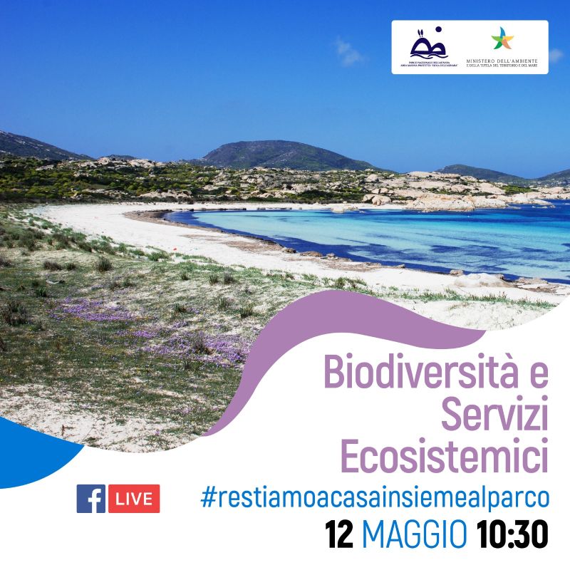 Web Meeting Asinara - Biodiversità e Servizi Ecosistemici
