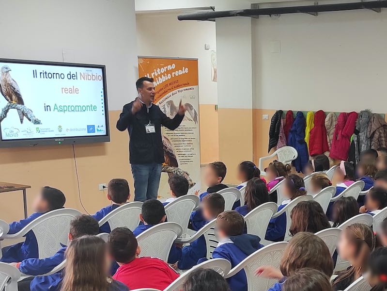 Il nibbio reale nelle scuole del Parco Nazionale dell'Aspromonte: l'incontro con le future generazioni