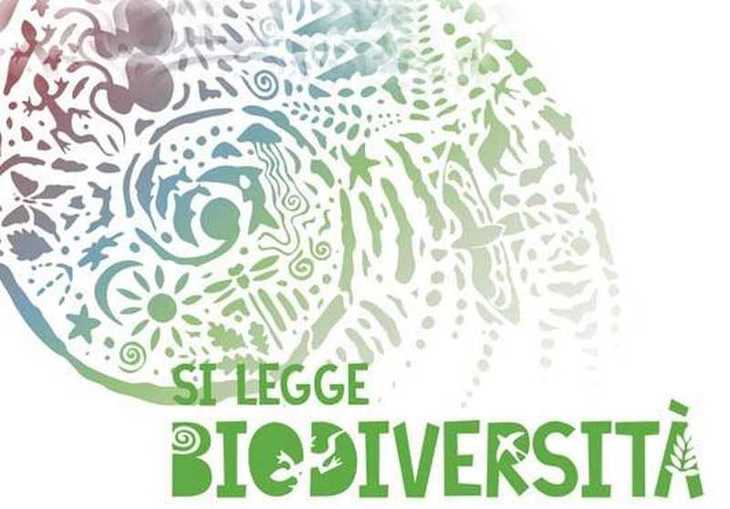 Risultati immagini per giornata biodiversità 2018