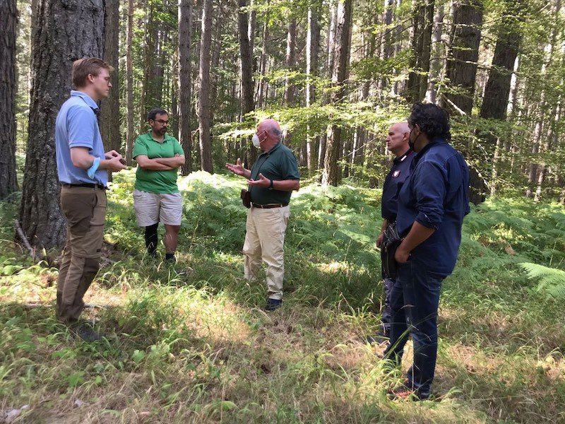 Dottori Forestali e proprietari boschivi tedeschi ed austriaci in visita nel Parco Nazionale della Sila per confrontarsi sulla gestione dei boschi di pino laricio