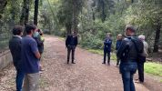 Piano di controllo del daino, il Parco del Circeo: 'Salvaguardare la biodiversità della foresta demaniale'