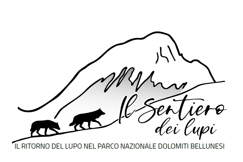 Il sentiero dei lupi: serata fotografico divulgativa sul ritorno del lupo nel Parco Nazionale Dolomiti Bellunesi
