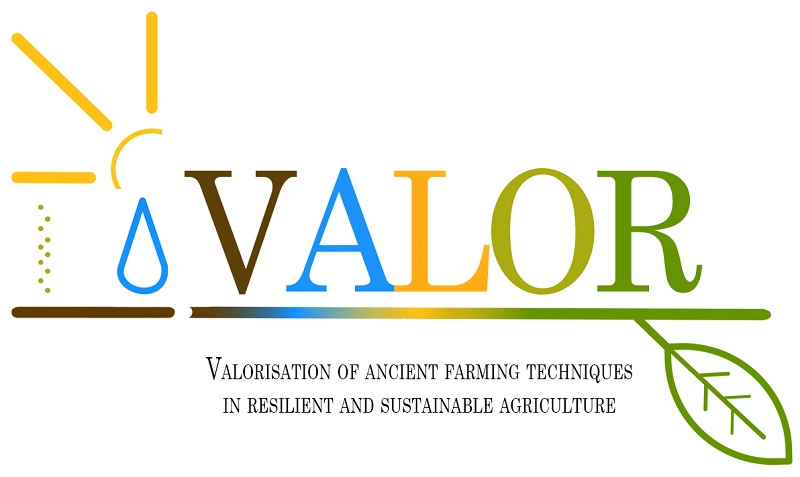 Pronti i moduli di apprendimento del progetto VALOR; al via le iscrizioni per la fase di TEST