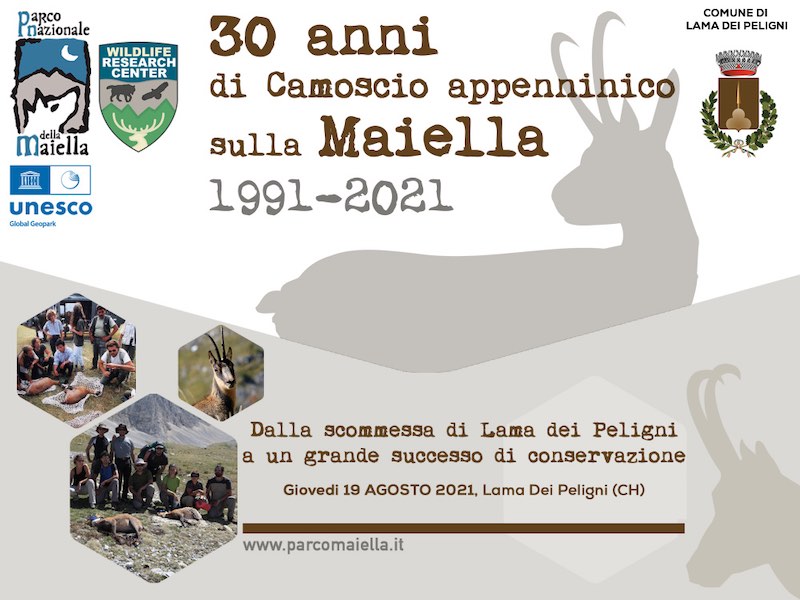 30 anni di Camoscio appenninico sulla Maiella. 1991-2021