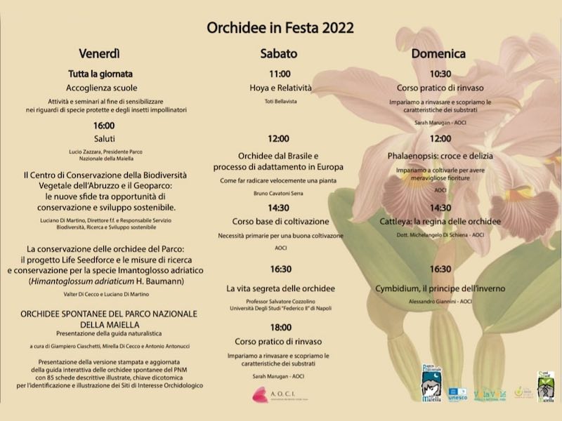 Orchidee in Festa 2022