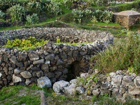 Censimento del giardino pantesco per preservare l'unicità dell'isola