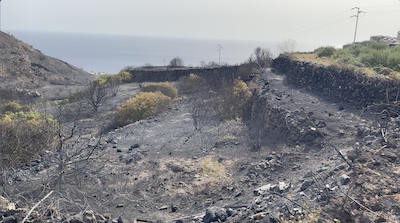 Incendio a Pantelleria, Salvatore Gabriele: 'Vergognoso atto, difenderemo l'isola più di prima'