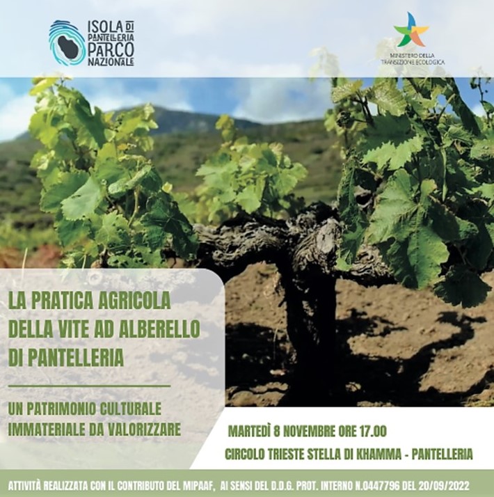 La pratica agricola della vite ad alberello, un patrimonio da salvaguardare:  a Pantelleria, un incontro per dialogare su passato, presente e futuro della pratica agricola riconosciuta Patrimonio dell'Umanità