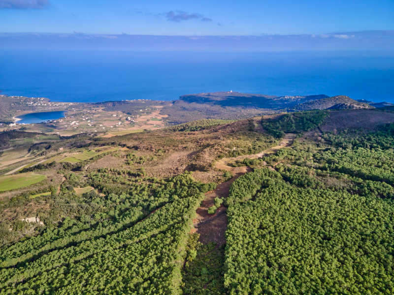 Pantelleria: approvato il piano di previsione, prevenzione e lotta attiva contro gli incendi boschivi