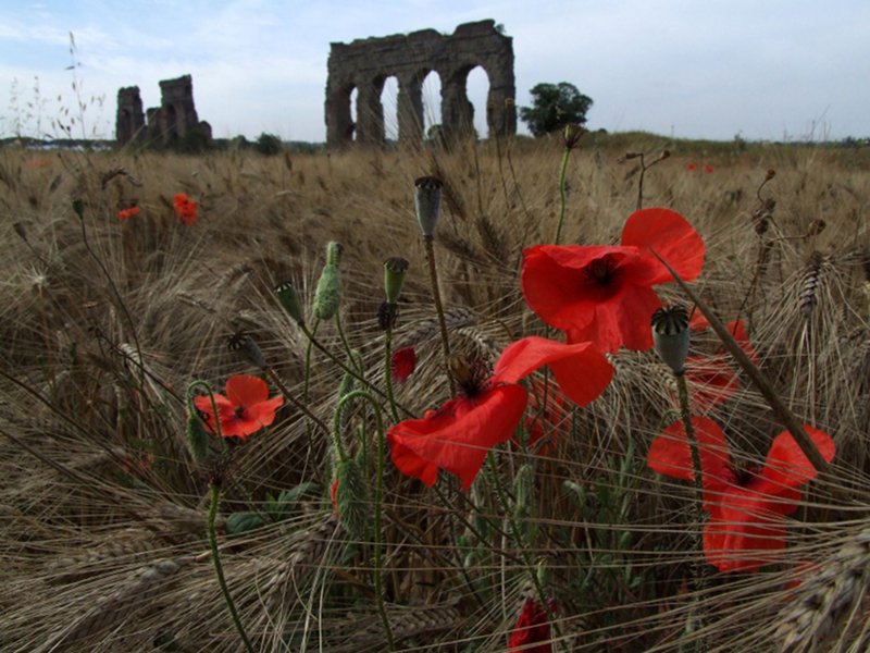 Sabato 23 marzo apre ufficialmente la stagione delle visite guidate al Parco dell'Appia Antica
