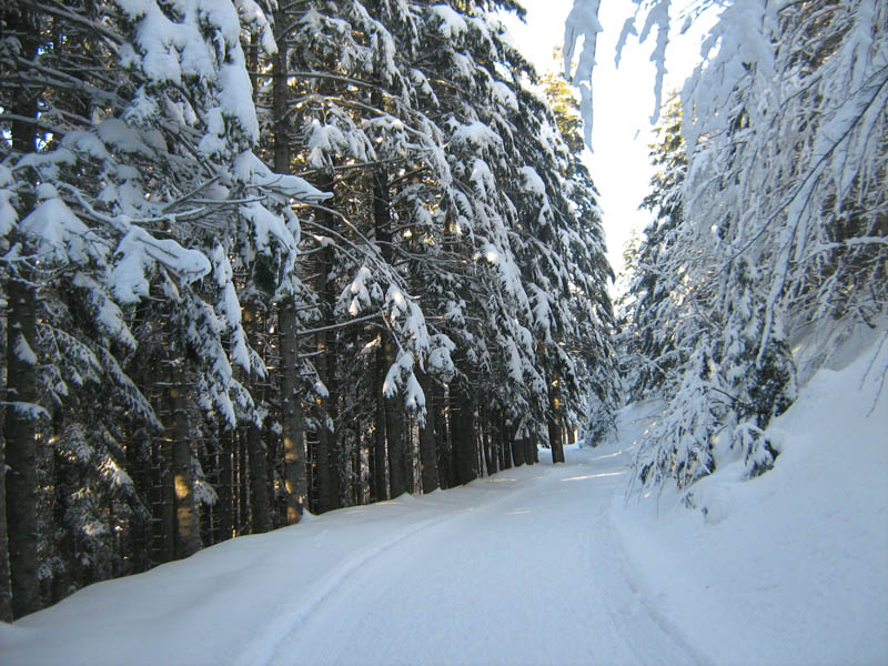 Ordinanza di chiusura temporanea in presenza di neve e ghiaccio per la strada per il Passo dell'Incisa