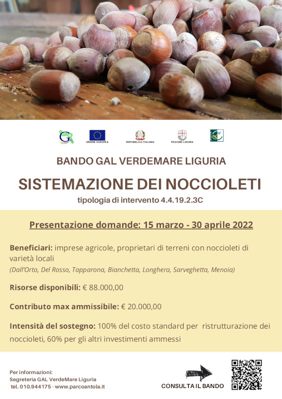 Bando per la sistemazione dei noccioleti - sottomisura 4.4.19.2.3C GAL VerdeMare Liguria