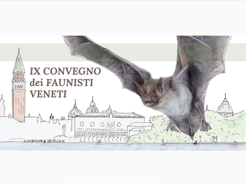 IX Convegno dei Faunisti Veneti a Mestre, 8 e 9 aprile 2022