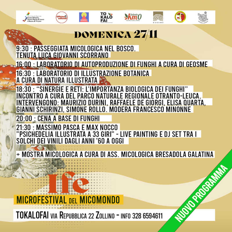 IFE - Microfestival del Micomondo