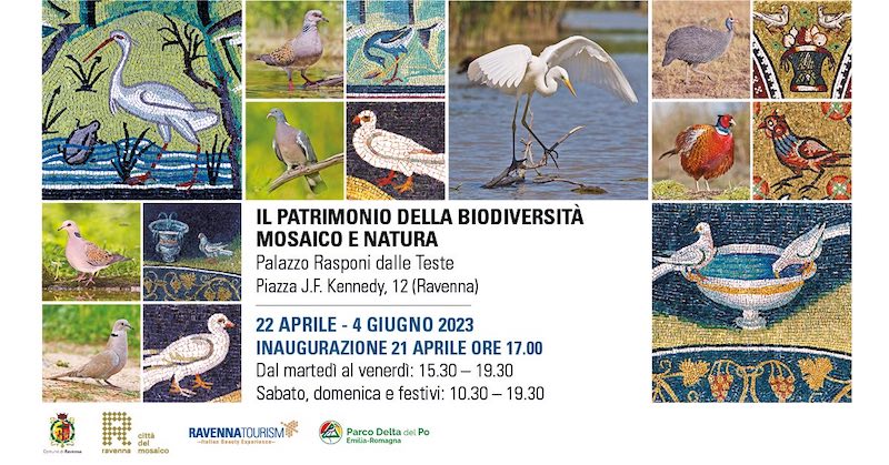 A Ravenna la mostra 'Il Patrimonio della Bodiversità - Mosaico e Natura'