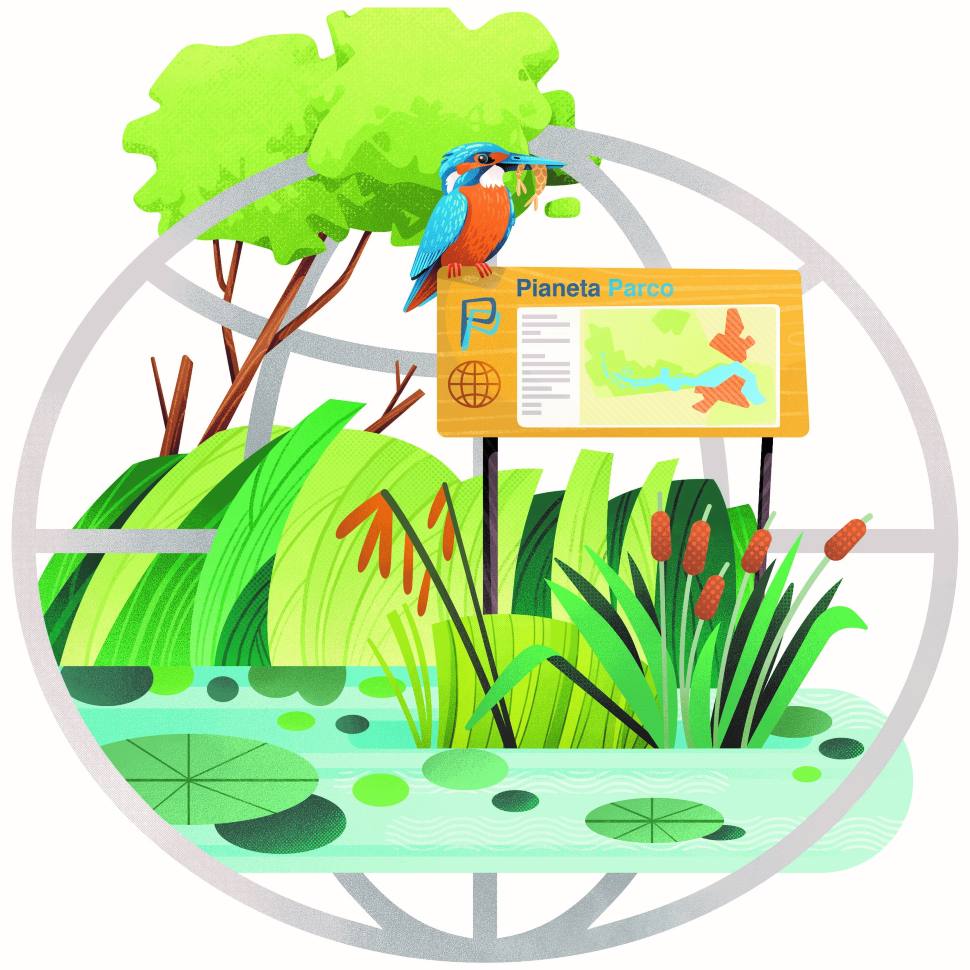 Ambiente e Salute: sul web nasce 'Pianeta Parco' per le scuole