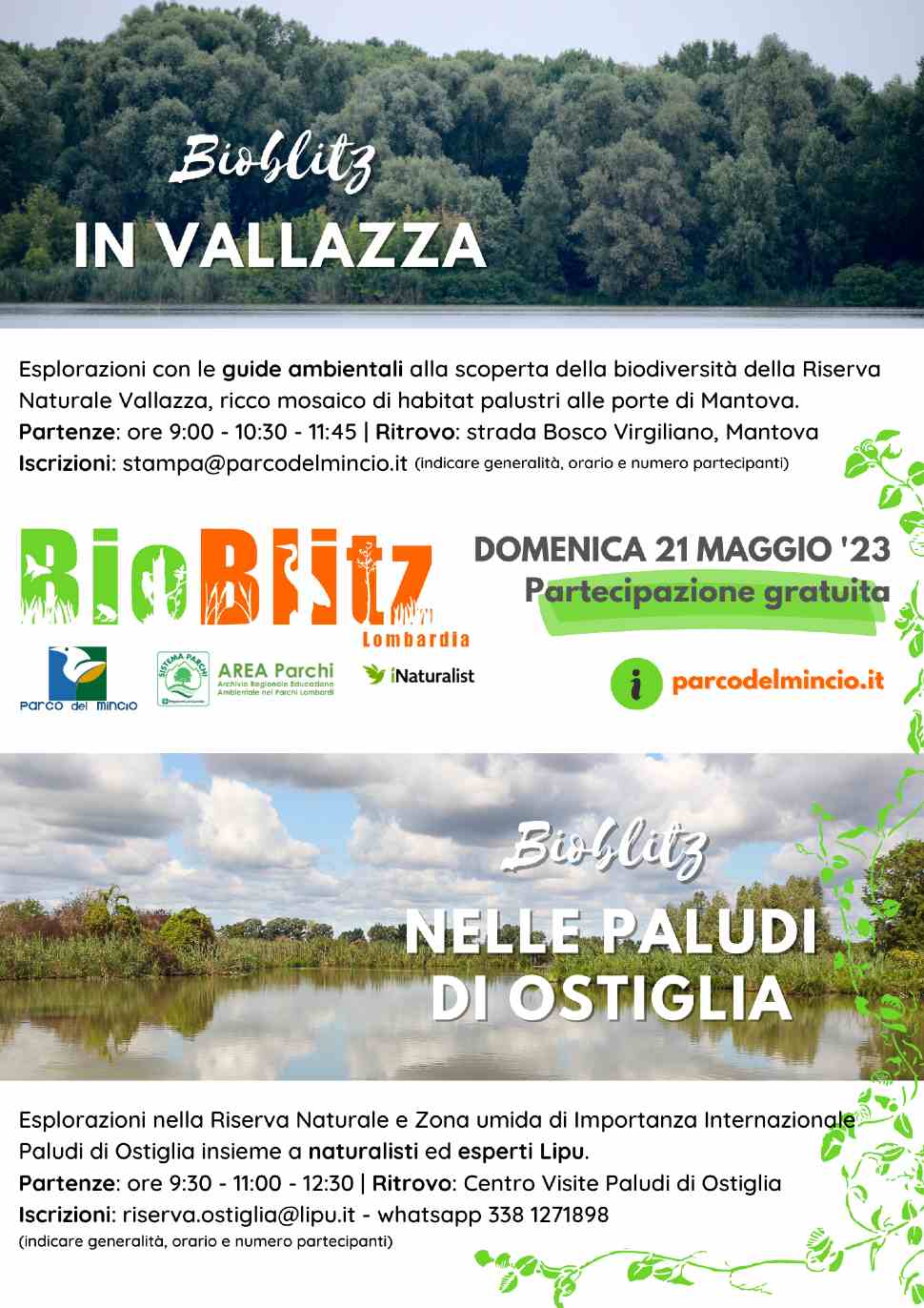 Esplorazioni gratuite in Vallazza e nelle Paludi di Ostiglia con il Bioblitz 2023