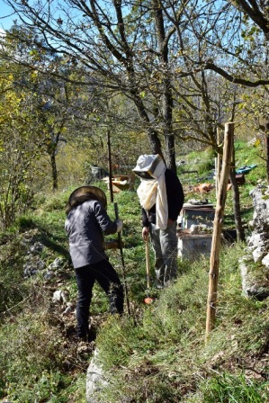 L'Associazione 'Salviamo l'Orso' mette in sicurezza un apiario nel Parco dei Monti Simbruinui