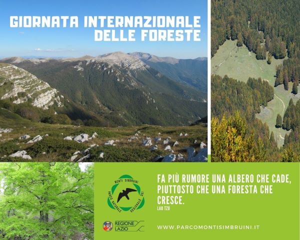 21 marzo - Giornata Internazionale delle Foreste