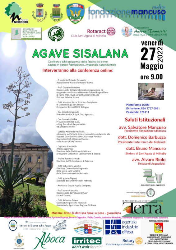 Agave Sisalana: prospettive della Ricerca e futuri sviluppi in campo Farmaceutico, Artigianale, Agroindustriale