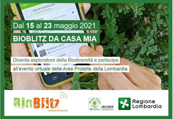 Bioblitz Lombardia dacasamia 2021