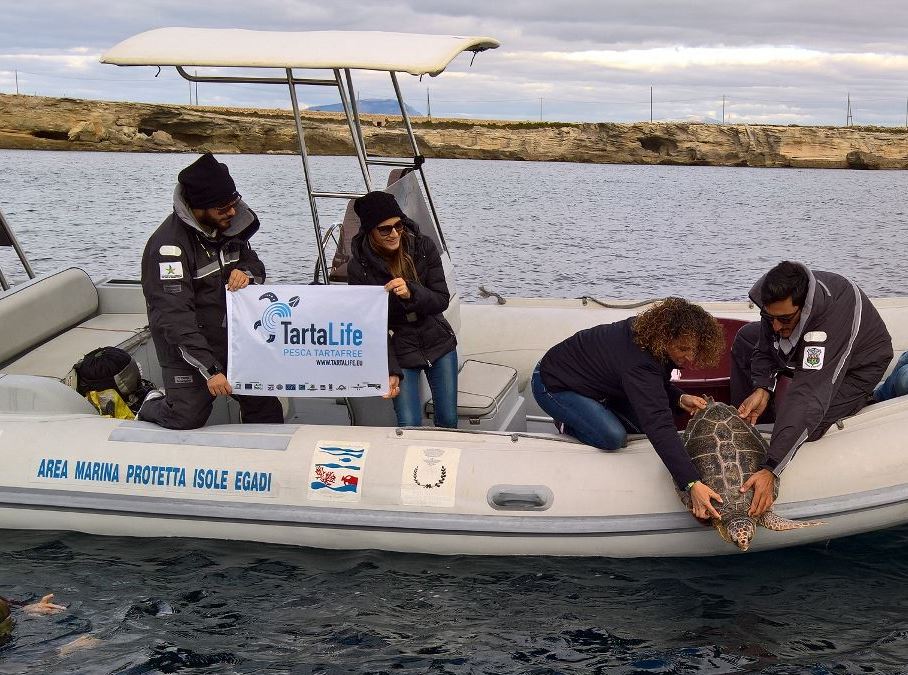 Liberata Noemi, l’ultimo esemplare di Caretta caretta curato presso il Centro di primo Soccorso Tartarughe Marine dell’Area Marina Protetta 'Isole Egadi' 