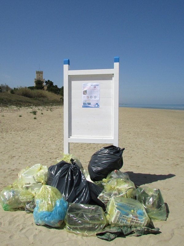 Giornata di raccolta rifiuti: AMP Torre del Cerrano e Marevivo insieme per contrastare il 'marine litter'