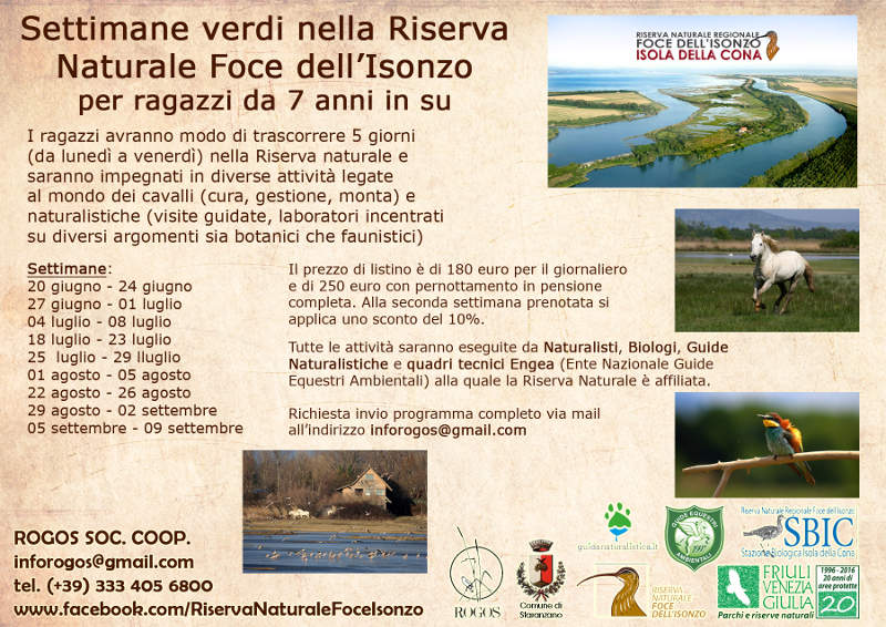 Settimane verdi nella Riserva Naturale Foce dell'Isonzo per ragazzi dai 7 anni in su